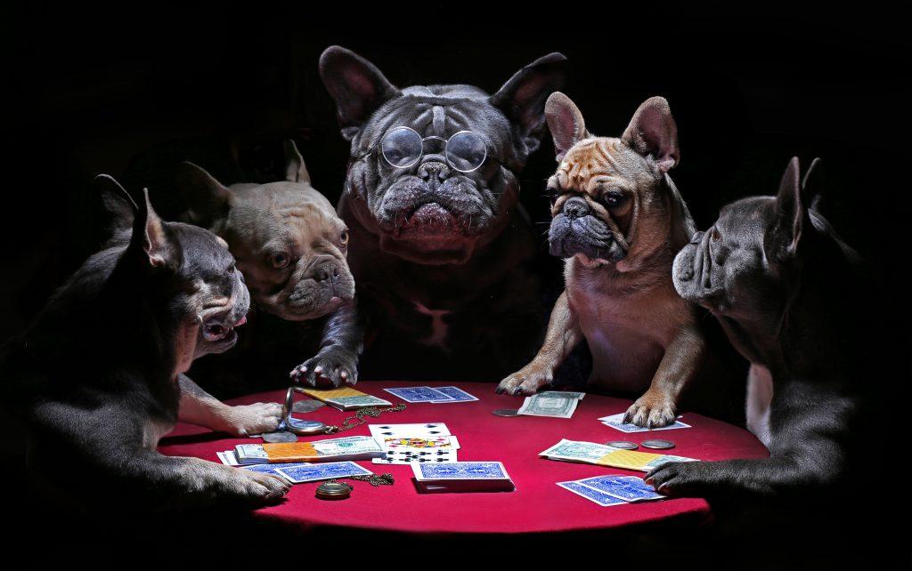 Dogs playing poker